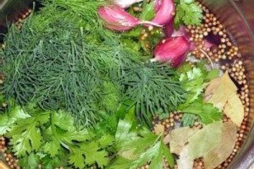 Острый перец на зиму. Острый красный перец на зиму простой рецепт