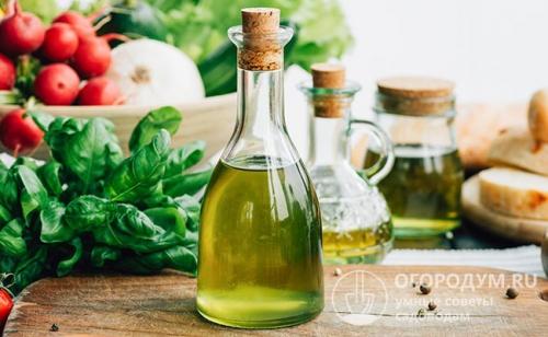 Заготовка базилика на зиму в домашних условиях. Как сохранить базилик на зиму в домашних условиях