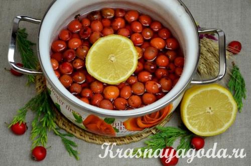 Варенье из боярышника. Рецепт варенья из боярышника с косточками