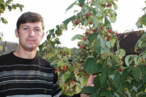 Персик, как укрыть на зиму. Правильная подготовка персика к зиме для получения хорошего урожая 04