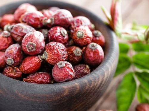 Шиповник заплесневел. Доктор шиповник! Что дает здоровью отвар из плодов дикой розы?