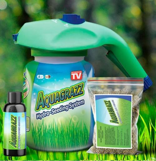 Бегония посадка в грунт. Бегония вечноцветущая: посадка и уход в открытом грунте