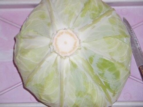 Как хранить квашеную капусту в погребе. Савойская