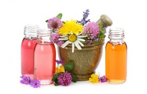 Как избавиться от моли – народная рецептура