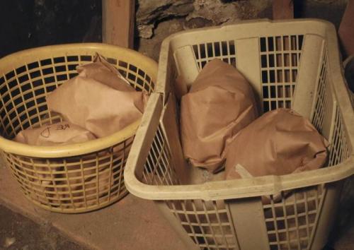 Как хранить летнюю капусту. Как правильно хранить капусту