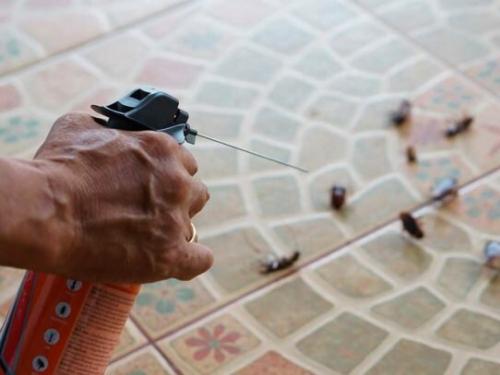 Лучшее средство от тараканов 2019. 11 лучших средств от тараканов - обзор 2019 года