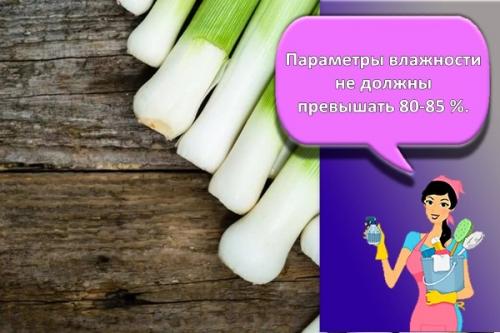 Как хранить лук-порей в холодильнике. Лучшие способы, как можно хранить на зиму лук-порей в домашних условиях