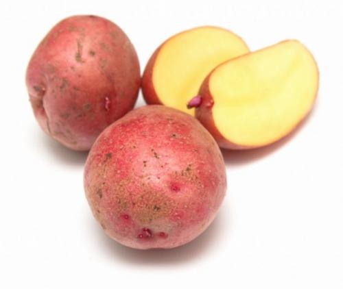 Лорх картофель характеристика. Сорт картофеля Лорх 01