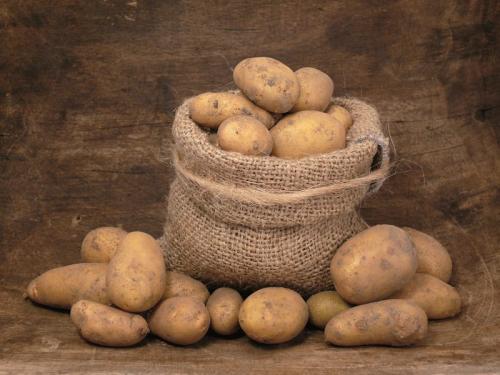 Срок годности картофеля. Как правильно хранить картофель