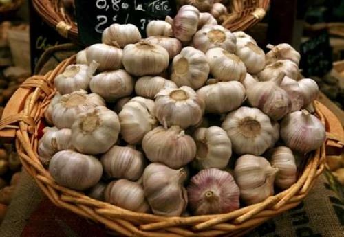 Как сохранить чеснок зимой, чтобы не высох. Как сохранить чеснок до весны: будто только с грядки