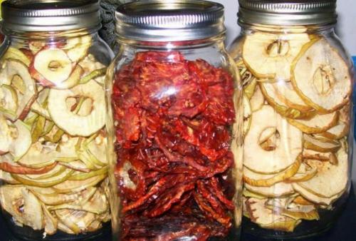 Сушка яблок в сушилке изидри. Особенности сушки яблок в электросушилке