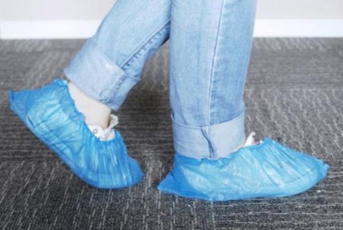 Откуда появляются домашние клопы. Перемещение в вещах