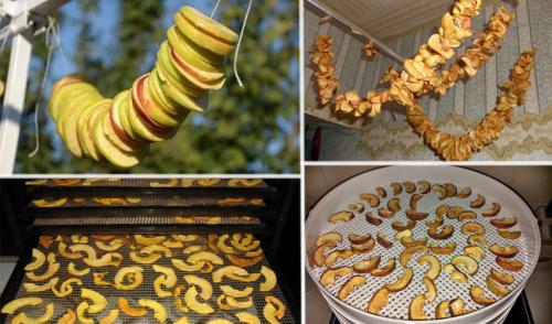Хранение сушеных яблок в стеклянных банках. Как сушить