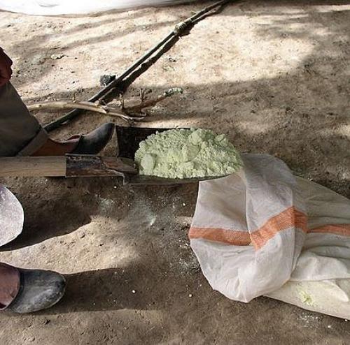 Как сушат изюм на производстве. Как производят сухофрукты