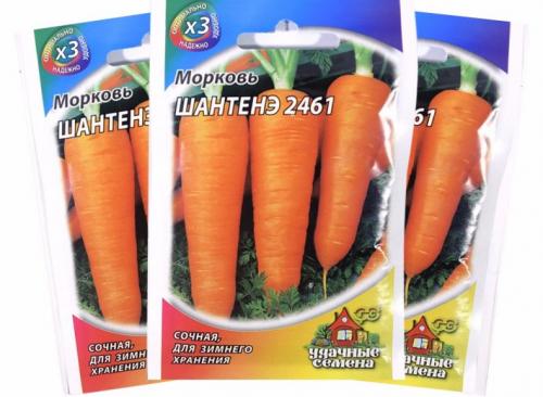 Морковь Витаминна.  Неприхотливый сорт моркови Витаминная 6 04