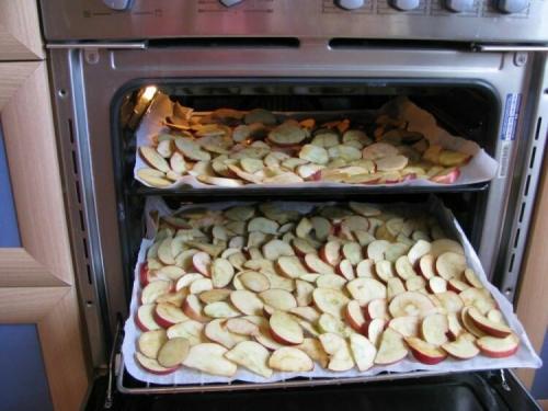 Сушка яблок в духовке электрической плиты. Сушим яблоки в духовке