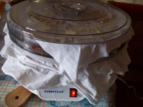 Рецепты сушки фруктов в электросушилке. Как сушить фрукты в сушилке