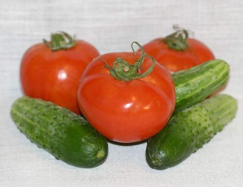 Совместное выращивание огурцов и помидоров в теплице. Можно ли в одной теплице выращивать огурцы и помидоры? Личный опыт.