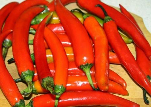 Горький перец на зиму. Маринованный горький перец на зиму - рецепты заготовок