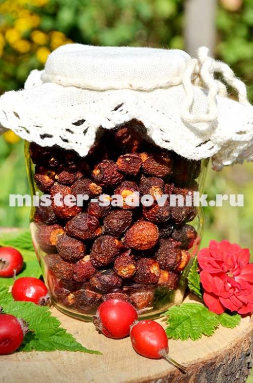 Время сушки боярышника в электросушилке. Сушка боярышника в электросушилке