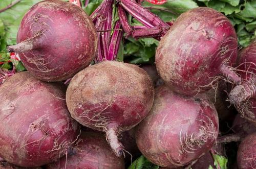 Как дома хранить свеклу. Как хранить свеклу в домашних условиях? 01