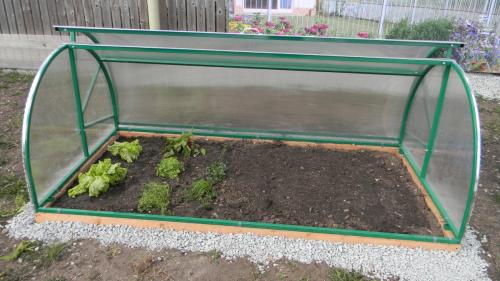 Поликарбонат для теплиц размеры. Особенности теплиц из поликарбоната