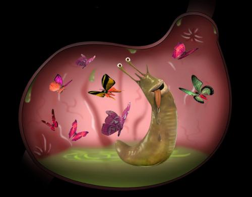 Вредны ли слизни для человека. Слизняки в животе