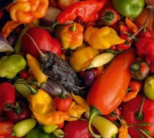 Как сохранить чеснок зимой, чтобы не высох. Выбор места и тары