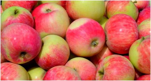 Сушка яблок в домашних условиях. Как сушить яблоки в домашних условиях —, как правильно сушить в духовке, микроволновке, на солнце