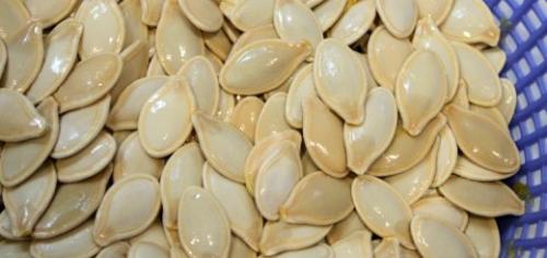 Боится ли тыква заморозков. Уборка урожая тыквы до осенних заморозков: когда убирать и как организовать хранение на зиму? 06