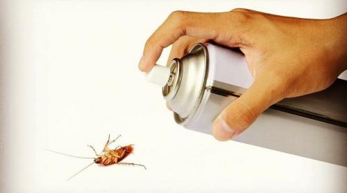 Лучшее средство от тараканов 2019. 11 лучших средств от тараканов - обзор 2019 года