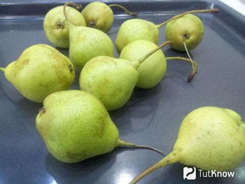 Как в домашних условиях сделать сухофрукты из груш. Как сушить груши: на воздухе, в духовке, сушилке или в микроволновке 12
