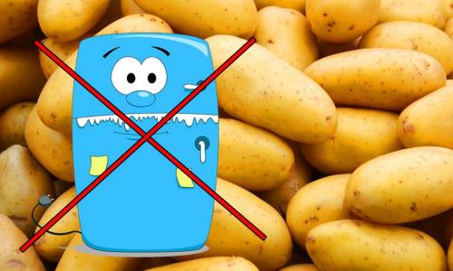 Можно ли хранить картошку в пластиковых ящиках. Как хранить картошку в квартире?