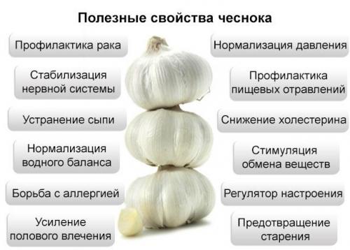 Настойка чеснока и лимона на водке. Настойка из лимона и чеснока