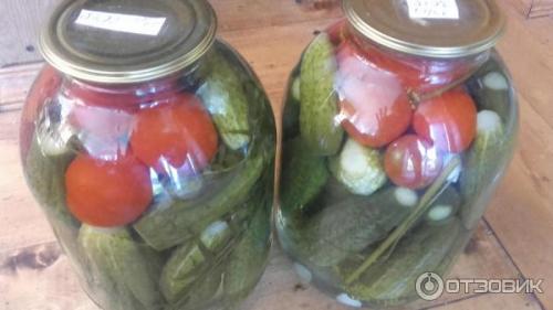 Томат Дебют характеристика и описание сорта. Подробное описание и характеристика сорта томата Дебют 10