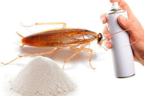 Лучшее средство от тараканов 2019. 11 лучших средств от тараканов - обзор 2019 года