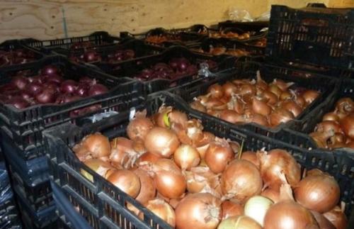 Как хранить лук. Как правильно хранить репчатый лук зимой в домашних условиях?