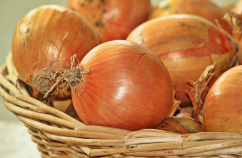 Как хранить лук в квартире. Способы сохранить лук в квартире