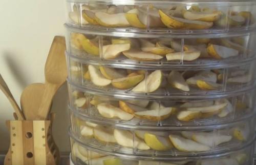Как сделать сухофрукты из груш. Как сушить груши в домашних условиях: 7 способов