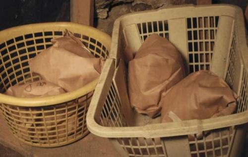 Как хранить брокколи в погребе. Способы хранения в холоде