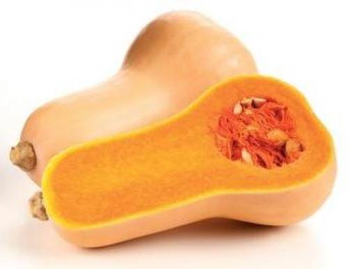 Какая температура губительна для тыквы. Грамотное выращивание тыквы в открытом грунте