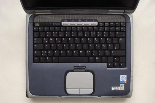 Откуда появляются домашние клопы. Перемещение в вещах