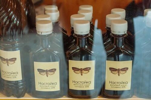 Восковая моль огневка, как принимать. Настойка восковой моли (огневка пчелиная)–показания и противопоказания, способ применения, отзывы