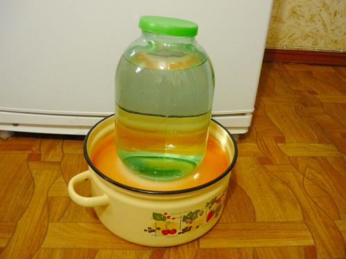 Квашеная капуста с яблоками быстрого приготовления. Квашеная капуста быстрого приготовления хрустящая и сочная.