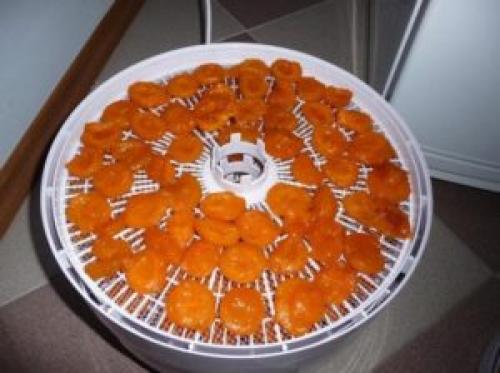 Рецепты сушки фруктов в электросушилке. Как сушить фрукты в сушилке