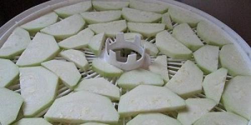 Вяленые кабачки на зиму. Кабачки вяленые: мастер-класс 10