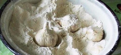 Как хранить правильно чеснок в квартире. Как хранить чеснок в квартире