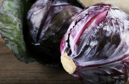 Тушеная красная капуста польза. Вред и полезные свойства