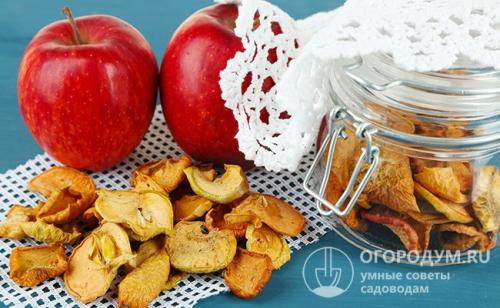 Можно ли хранить сушеные яблоки в морозилке. Как и где хранить сушку