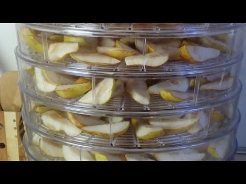 Сушка груши в домашних условиях простой рецепт. 5 вариантов сушки груш и правильная подготовка фруктов